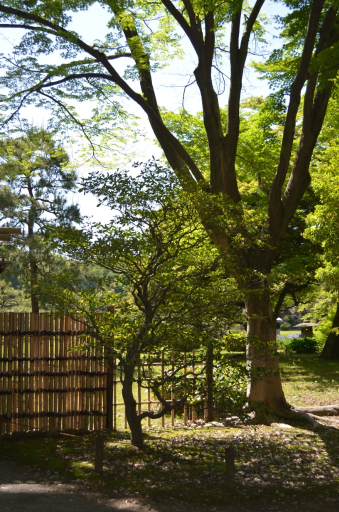 Japan Study No. 10